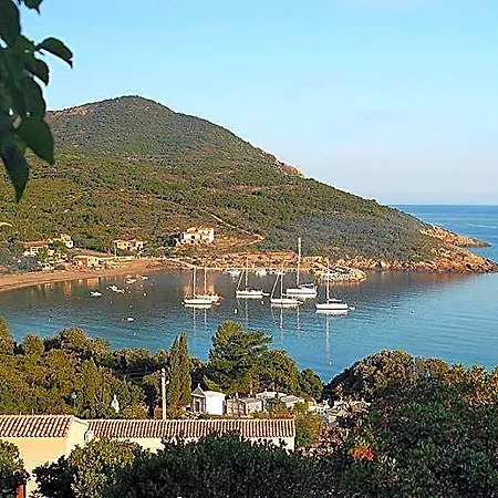 L'alivu 3*